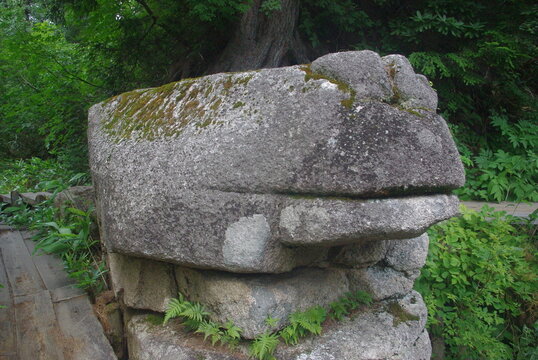 カエルのような岩