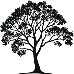 Obraz premium Detailed black silhouette of a lush tree with many leaves