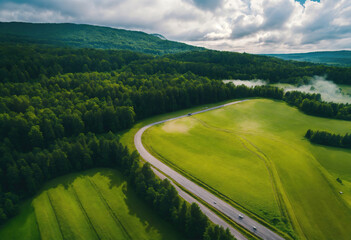 Awesome Aerial scenery view of forests