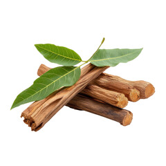 Sticks and green leaves on transparent Background