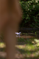 A fragile, handcrafted paper boat is gently floating on the calm surface of a shimmering body of water, reflecting the sky above