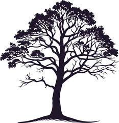 Silhouette of a large spreading tree with intricate branches