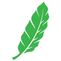 Green leaf vector illustration isolated on white background