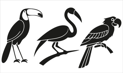 Toucan Flamingo Parrot Silhouette birds