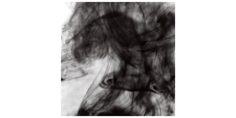 Dark Ink Smoke Plume PNG - Dynamic Black Brush Overlay for Grungy Backgrounds & Atmospheric Digital...