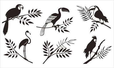 Fototapeta premium Tropical birds perched on branches parrot toucan