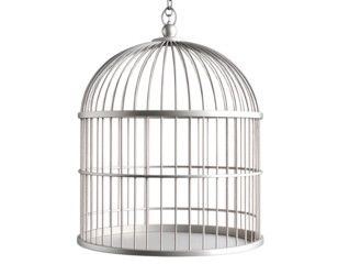 Minimalist Hanging Bird Cage with Circular Top – Side Angle View, Transparent PNG Cutout