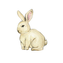 Watercolor illustration of rabbit isolated on white background. Hand drawn beige rabbit. Animal drawing for children's design. Kids card, poster. Pastel colors