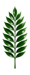 Pinnate leaf with a feather-like structure and pointed tips, medium green
