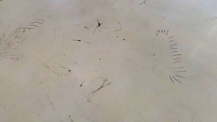 Whimsical abstract lines dance like whispers on parchment, invoking Imbolc musings or Hanami...