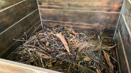 Autumn's whispered secrets cradle in rustic wooden compost, celebrating World Soil Day and the...