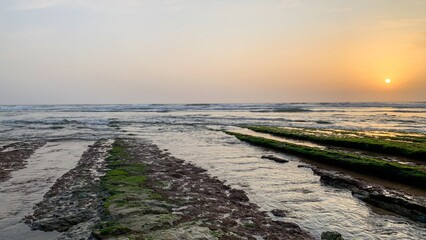 Sunset caresses the mossy seaweed trails leading into the ocean's embrace, evoking World Oceans Day...