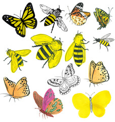 벌과 나비를 그린 일러스트