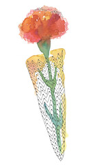 카네이션을 그린 일러스트