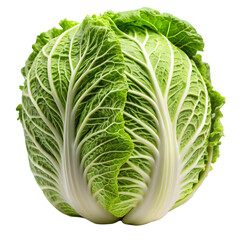 Obraz premium Fresh napa cabbage isolated on transparent surface PNG transparent background