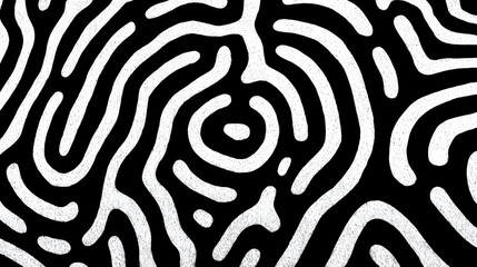 Fototapeta premium Abstract black and white wave squiggle doodle fingerprint style maze pattern background banner. Black and white abstract textured background. Fingerprint Pattern background