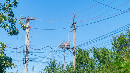 Stone power poles with a pile of wires among the dense foliage of trees against the blue sky