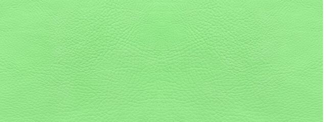 Fototapeta premium A luxurious background with a delicate green leather texture. Close-up of artificial leather. view from above. Eco-friendly leatherette, rough artificial leather structure. Wallpaper, copy space