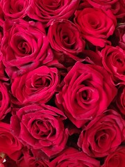 Red Rose Bouquet Captured from Close Range