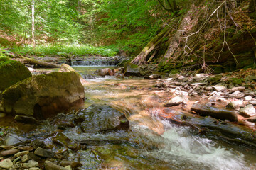 water stream flow among trees and rocks in summer. forest landscape with river and stones....