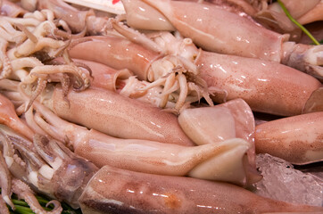 Fresh squid displayed on ice at a seafood market with vibrant colors and textures enhancing visual...