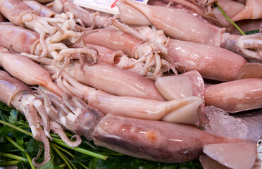Fresh squid displayed on ice with vibrant green herbs at a bustling seafood market for culinary enthusiasts