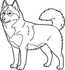 Obraz premium Outline illustration of a standing siberian husky dog in black and white vector design