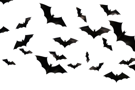 black bat group flying isolated on white or transparent png