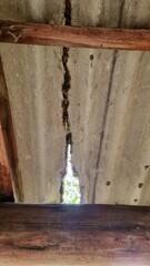 Mossy roof and façade panels need renovation?