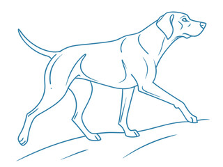 Fototapeta premium dog in the snow