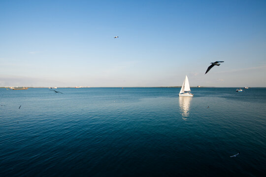 A yacht sailing on calm blue sea with birds flying 2