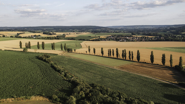 Aerial view of golden and green fields stitched together by rows of slender trees leading towards a distant village nestled in the rolling hills, Eys, Limburg, Netherlands.