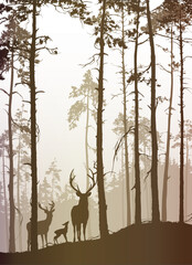 vector landscape with silhouette of pine forest and deer family	