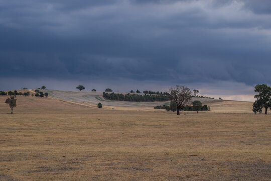 Vast grazing land with oncoming storm