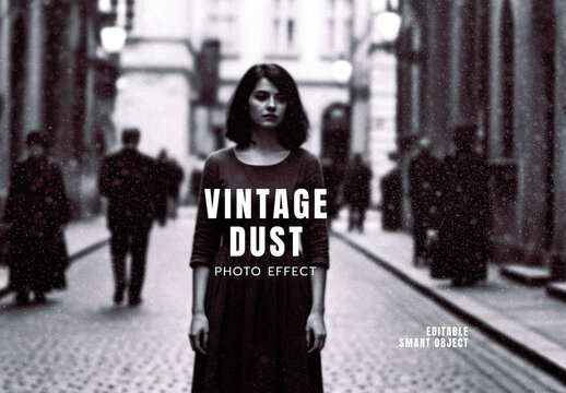 Vintage Dust Overlay Photo Effect