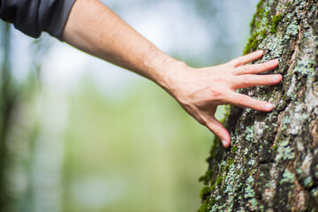 Man gently touching a tree trunk close-up. Bark wood. Connection with nature. Ecology, environmental care, love for the planet.