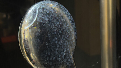 Close-up of a shower head covered in hard water limescale deposits needing to be cleaned
