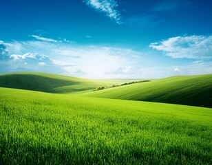 Fototapeta premium different grass fields silhouette landscape with green field and blue sky