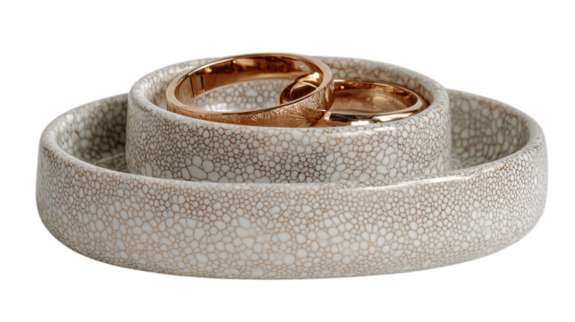 A stacked ring tray in porcelain finish variant 9303, white background --ar 16:9