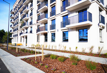 Landscaping for urban spaces. Planting trees in a new residential complex. Block house with green...