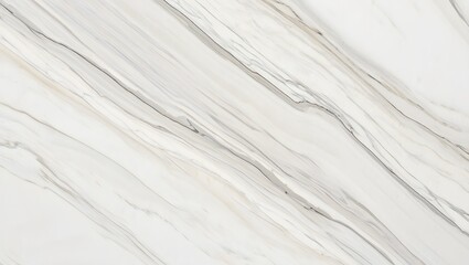 Obraz premium Abstract Marble Texture - Elegant White and Gray Veining Background