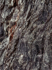 pattern of rock, texture of stone, dignity of time, constant and magnificent shape