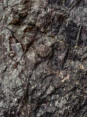 pattern of rock, texture of stone, dignity of time, constant and magnificent shape