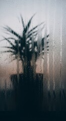 Obraz premium Rain-streaked window with blurred plant silhouette and moody, atmospheric lighting.