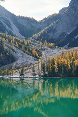 larches on the scree in the mountains reflecting in a lake