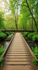 Fototapeta premium Tranquil Wooden Footbridge Over a Stream in Lush Green Forest