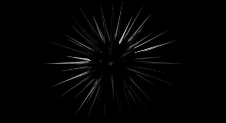 Black Star Icons Collection