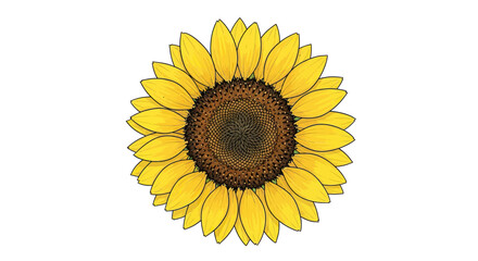 Bright Yellow Sunflower Illustration with Detailed Brown Center on White Background

