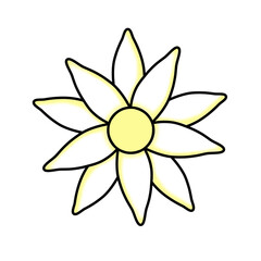 Mixed flowers, daisy, yellow flowers, pink flowers, blue flowers, black and white flower pictures