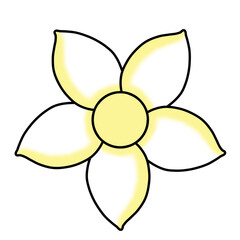 Mixed flowers, daisy, yellow flowers, pink flowers, blue flowers, black and white flower pictures